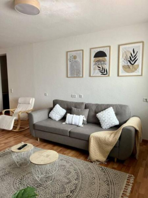 Entire Flat for you Schwetzingen,Mannheim & HD